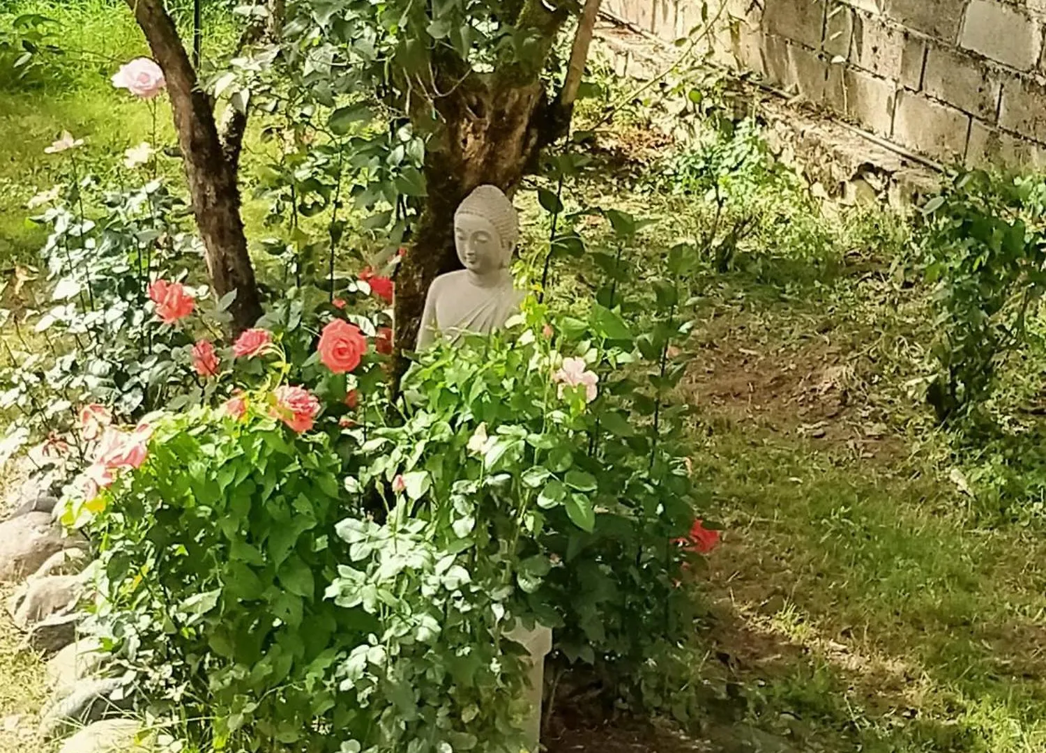Le Relais de Boralde Hotel Espalion 0*,